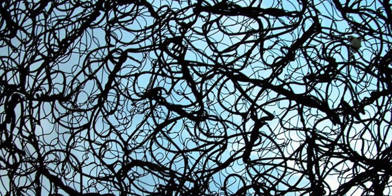 c_octavio's profile banner image