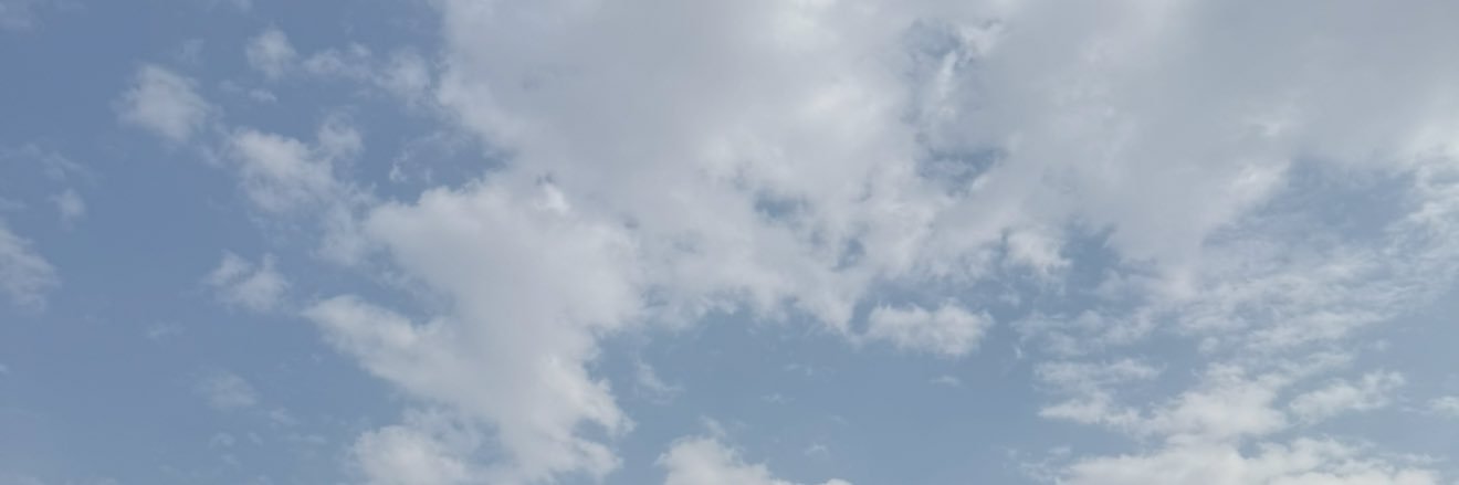 President banner