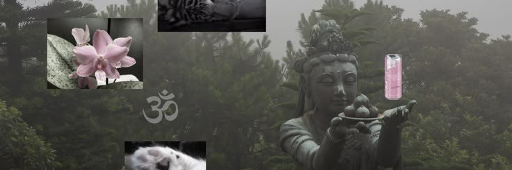caoglitter's profile banner image