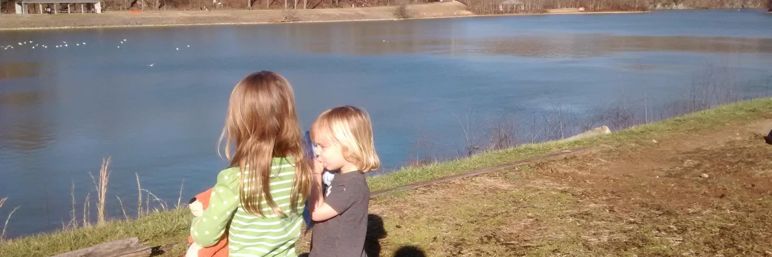 Reis's Pieces banner