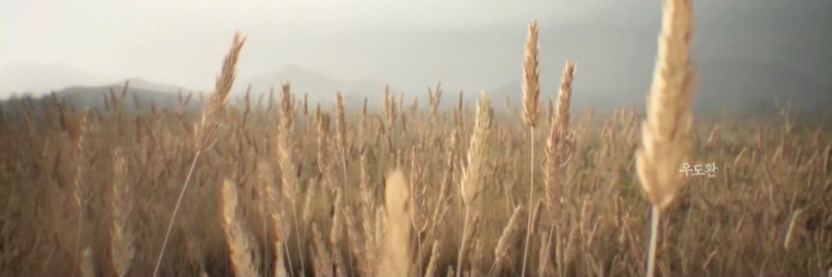 Angela! ꪆৎ banner