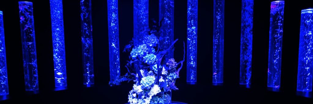 まお子@取引垢 banner