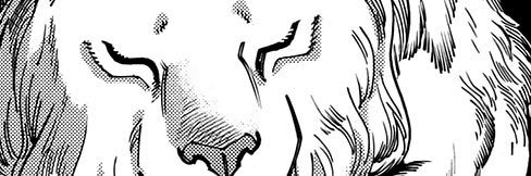 the king of the trashpile's banner