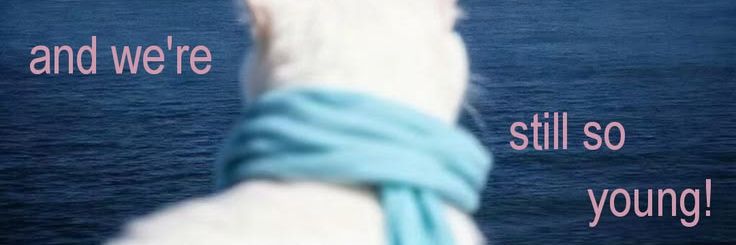 adrian 🛼 banner
