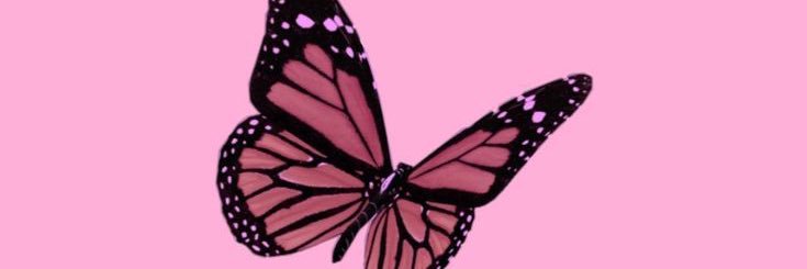 _ChrissyChris's profile banner image
