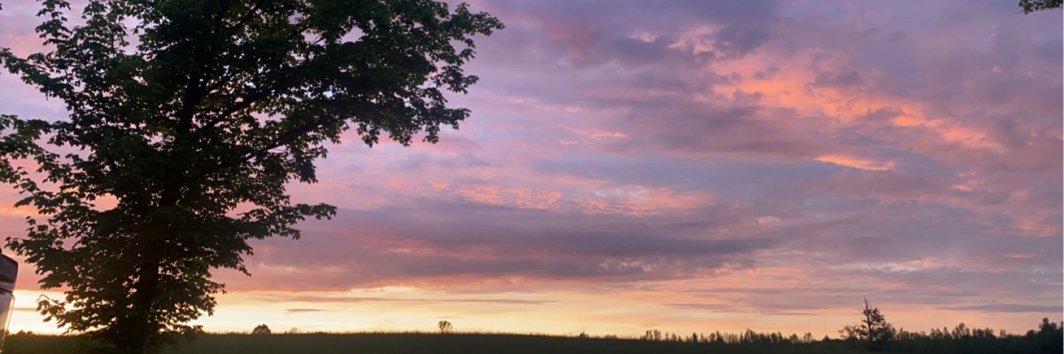lysscox_'s profile banner image