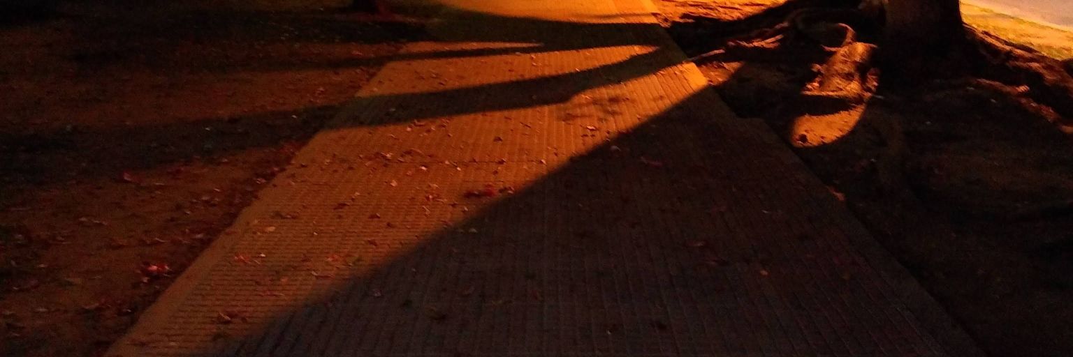 MLauraGamboa's profile banner image