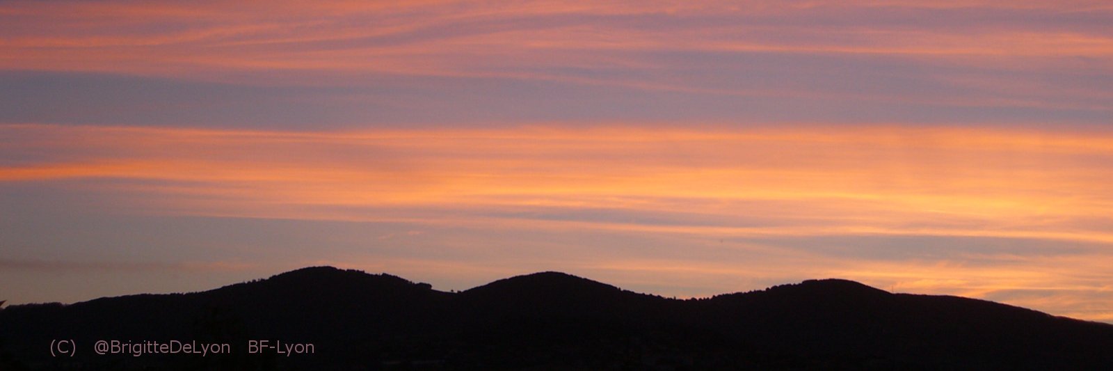 BrigitteDeLyon's profile banner image