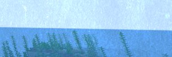 SMPonSea Profile Banner