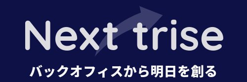 Next Trise｜ビジネス成長支援 banner