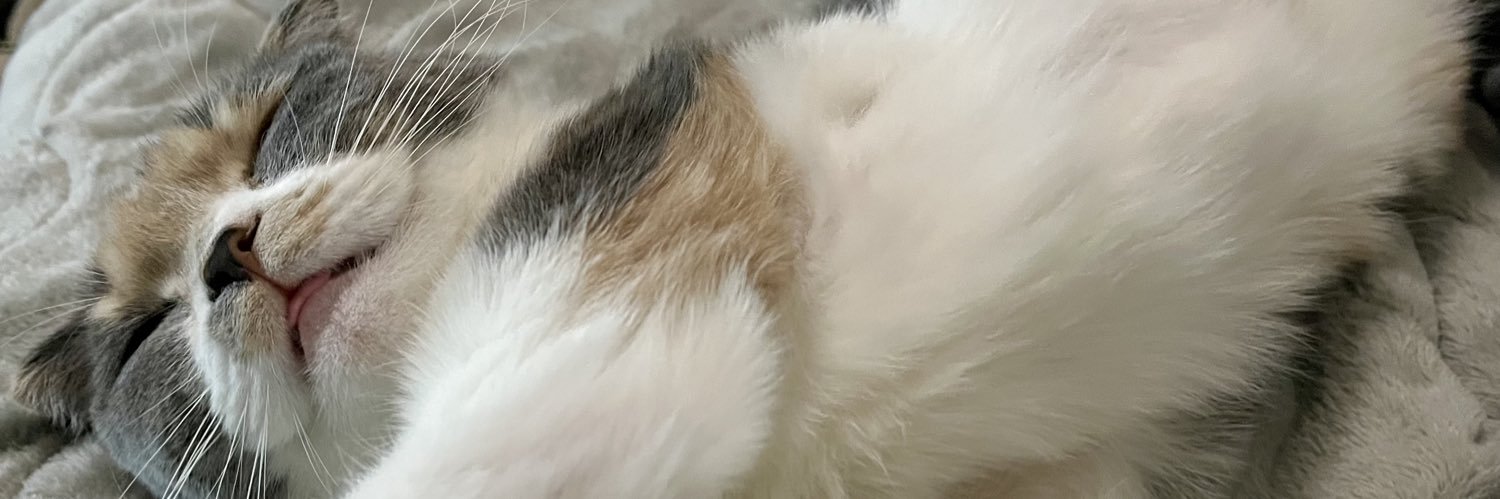 🍯 banner
