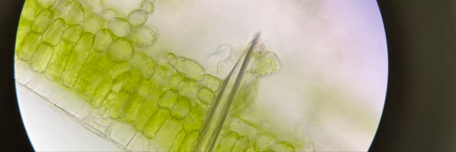 manurusamasama's profile banner image
