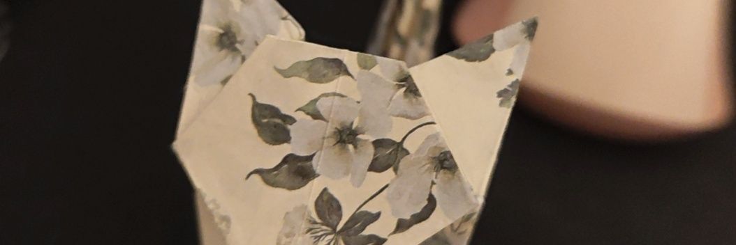 回转排骨锅's banner