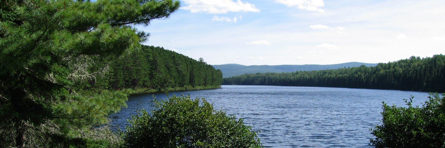 Behdin Nowrouzi-Kia banner