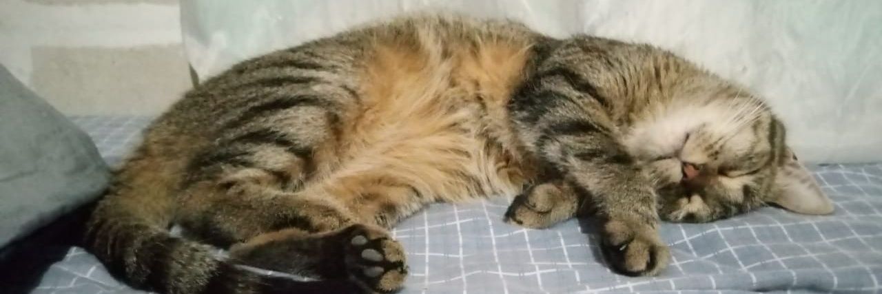 la vida es cagada banner