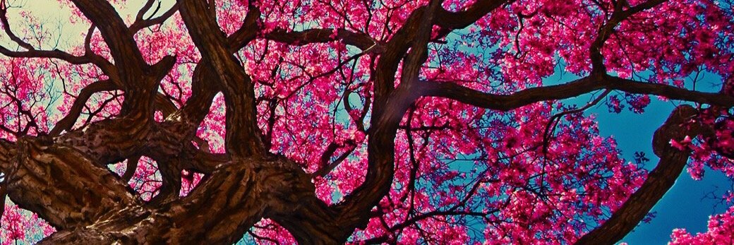 BantikM's profile banner image