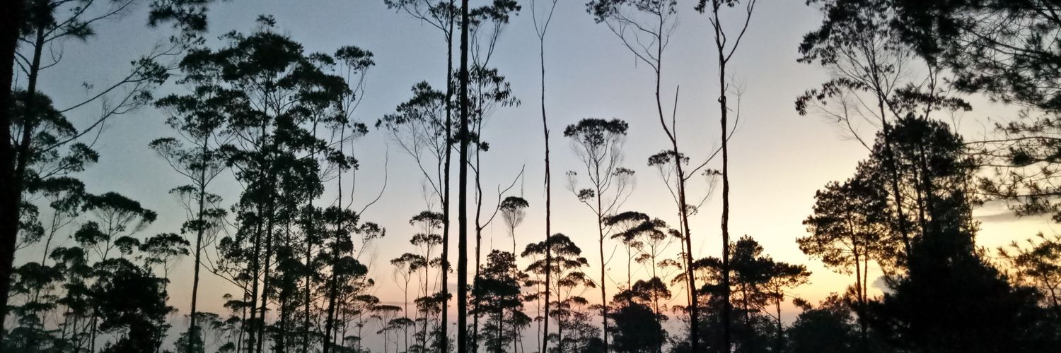shtrsm's profile banner image
