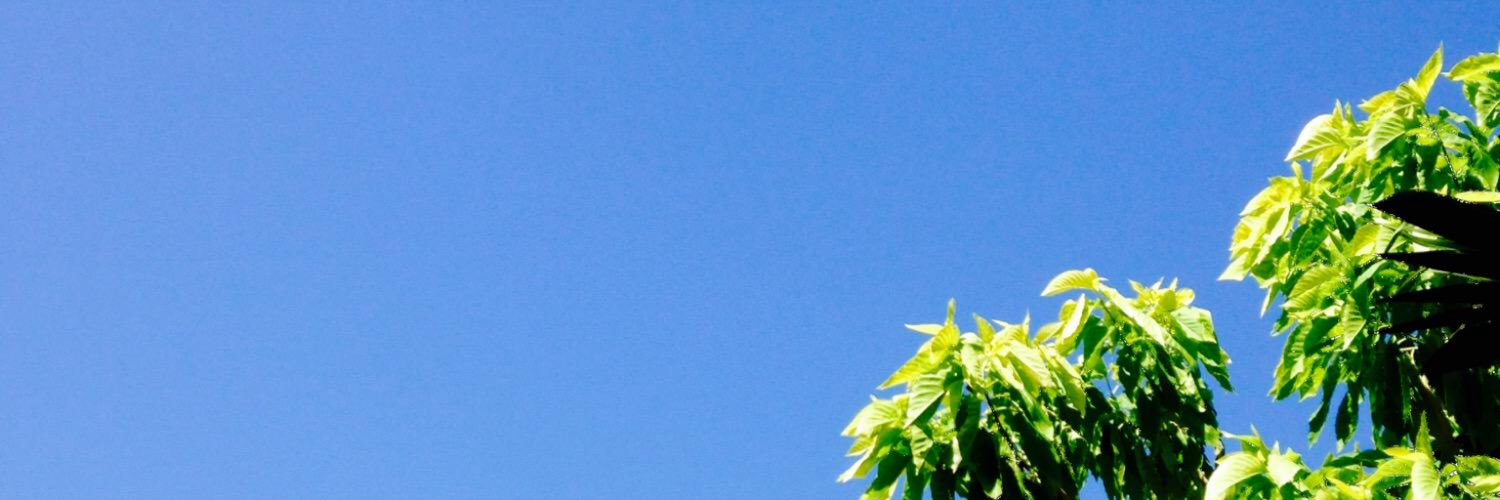 raenellejoy's profile banner image