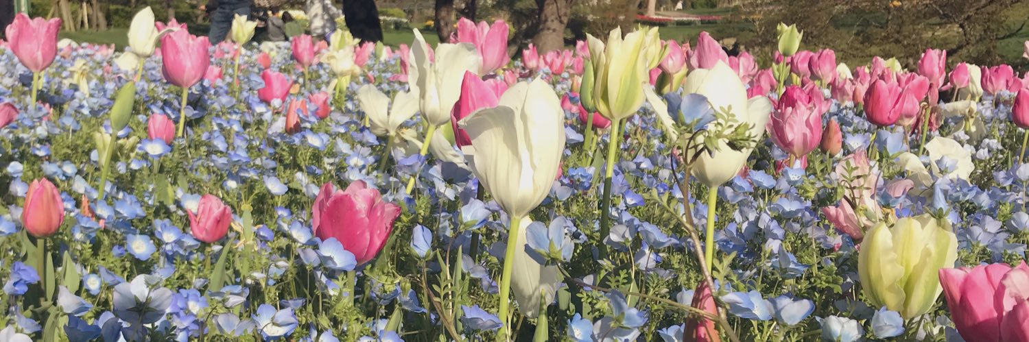 コハル商店 banner