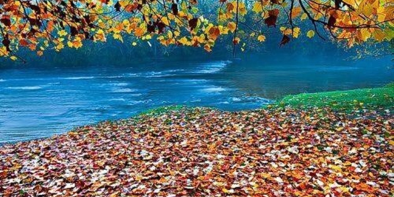 shane_mohr's profile banner image