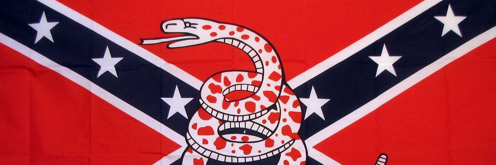 Ron P Jr's banner