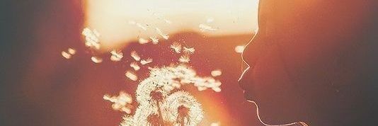 arrindaMA's profile banner image