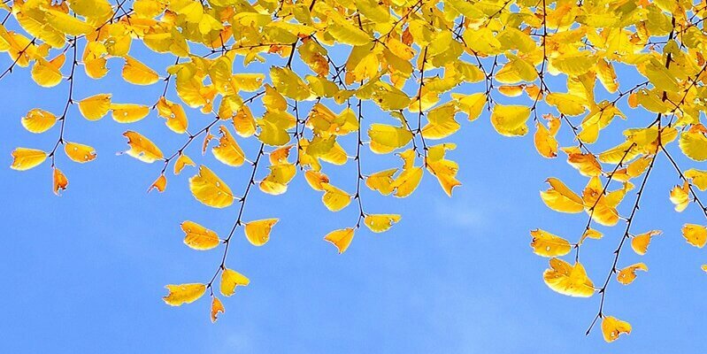 pki007's profile banner image