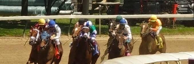 siubbrown's profile banner image