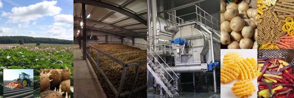 PotatoPro Profile Banner