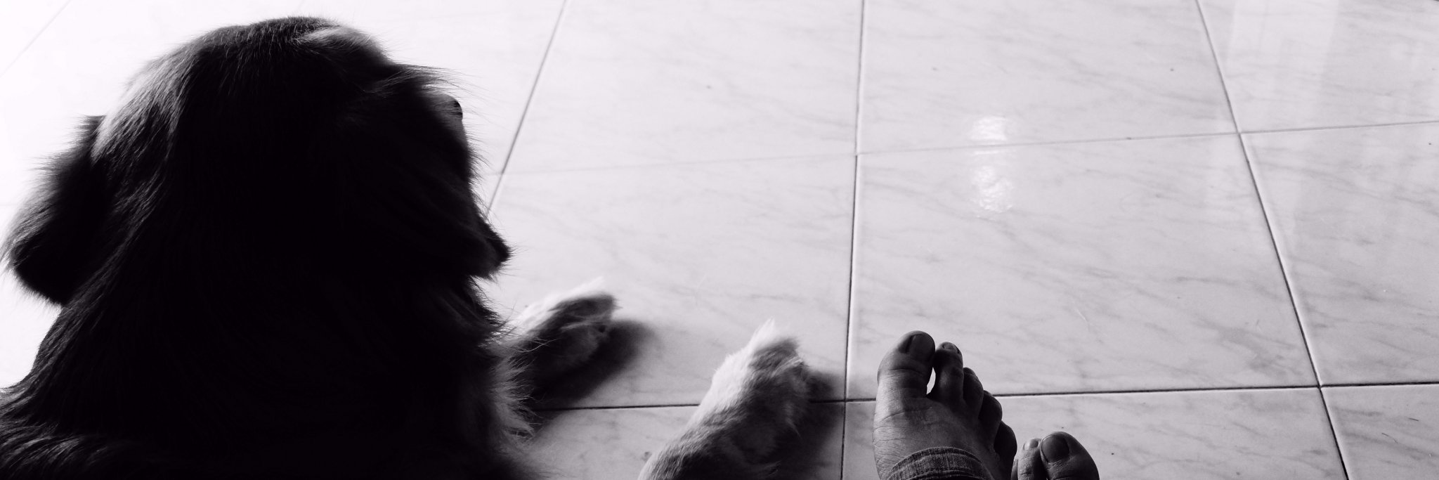 infpmindset's profile banner image