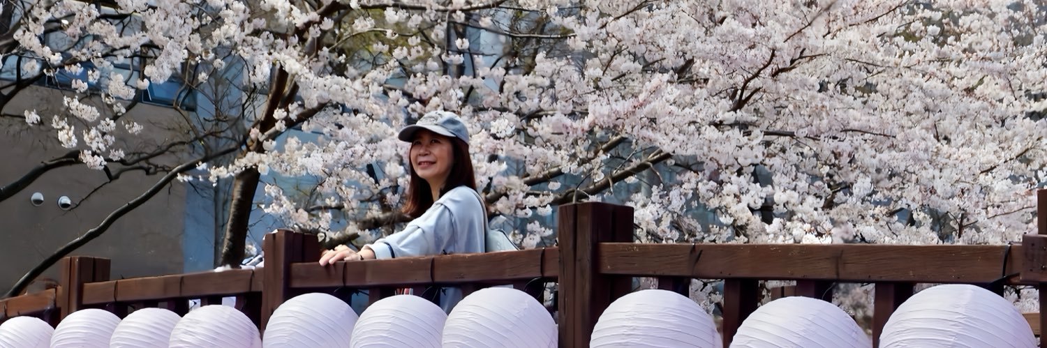 xinalulu's profile banner image