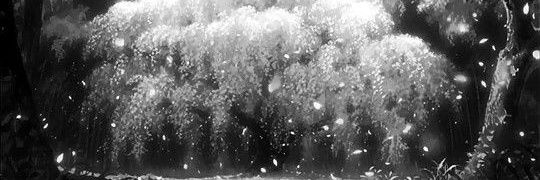 Rosatz🇮🇹 banner