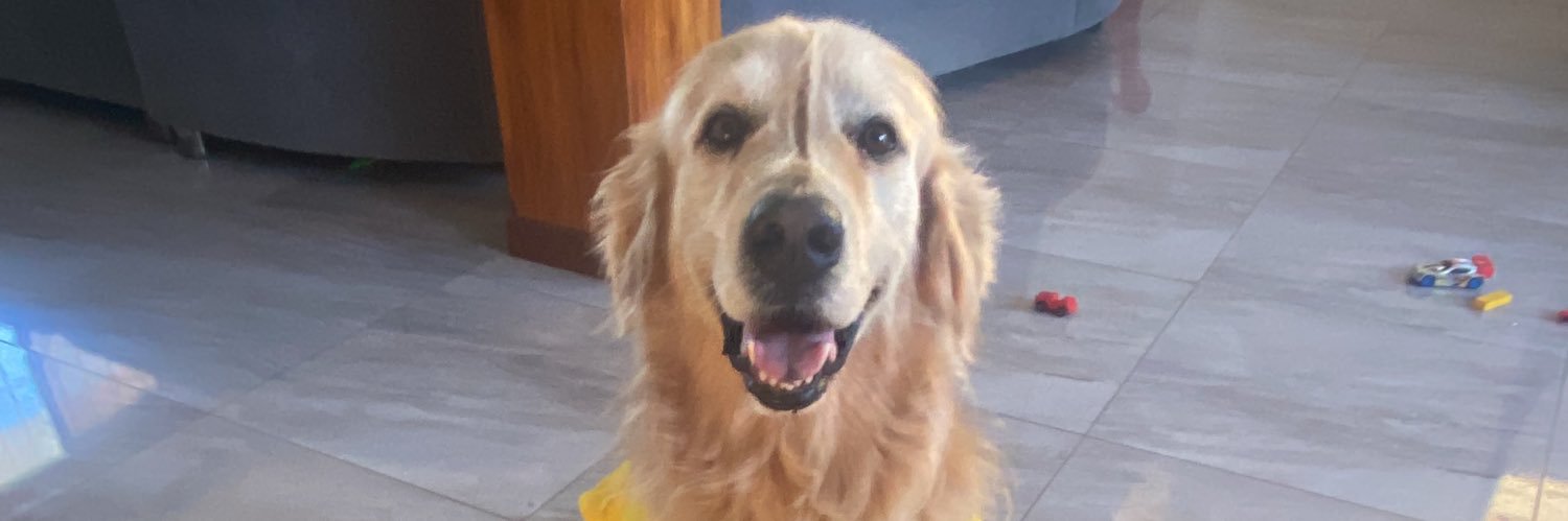 Piero Jacho Cruz banner