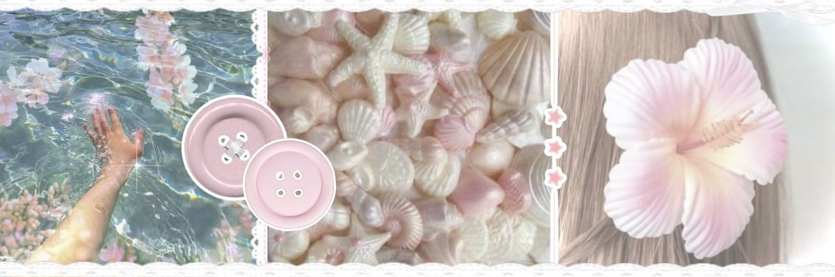 anna 🐚's banner