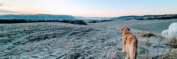 larstr Profile Banner