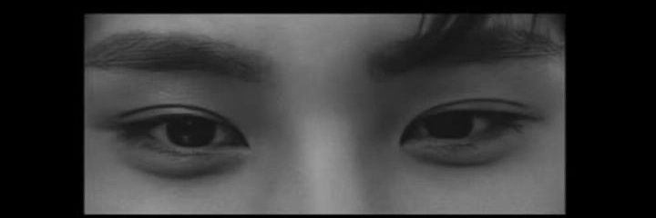 riie!🐶 (sedank REST, on se moodnya) banner