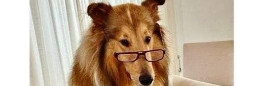 Juampi Torrico banner