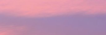femrhys banner
