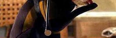 Ethem Güzeler banner