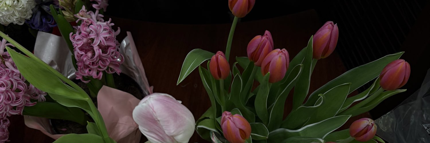 1anovaa banner