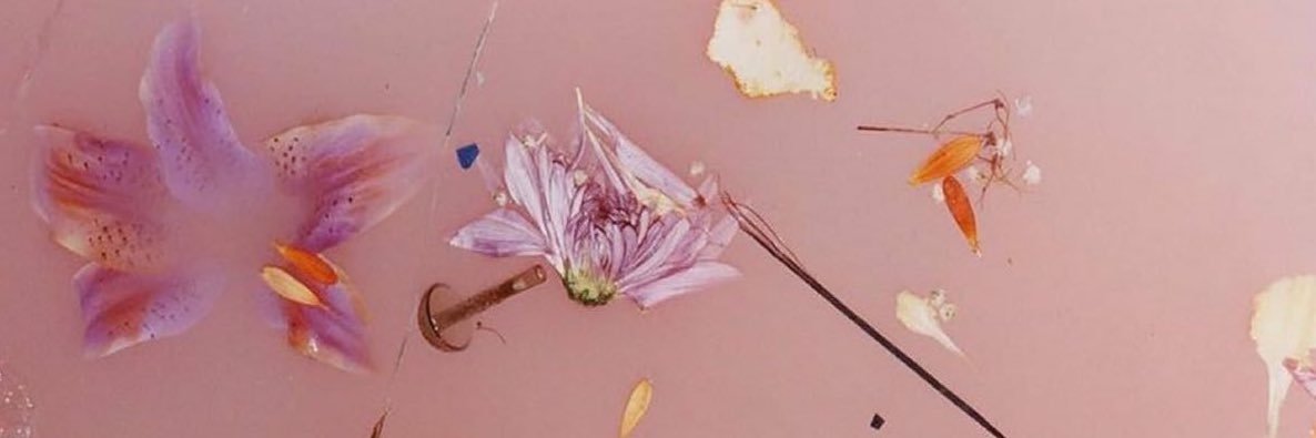 oliviaa⭐️ banner