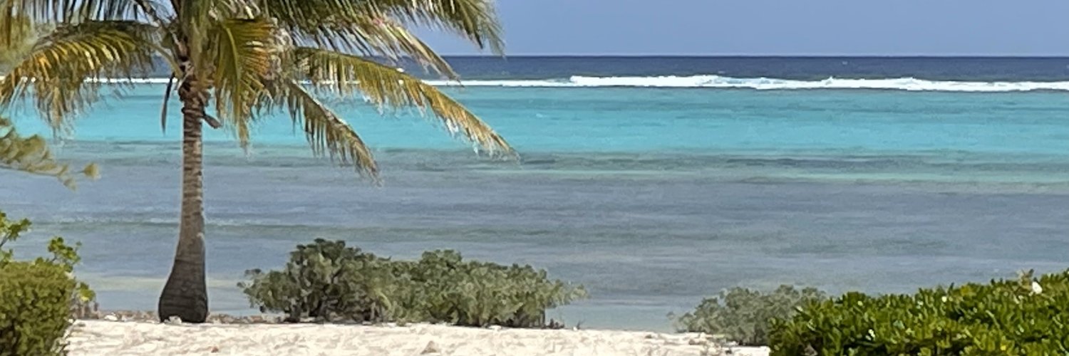 Stephanie Riegg Cellini banner