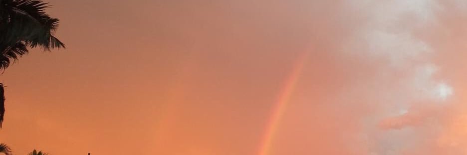 fernandafronza's profile banner image