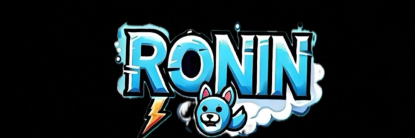 Ronin banner