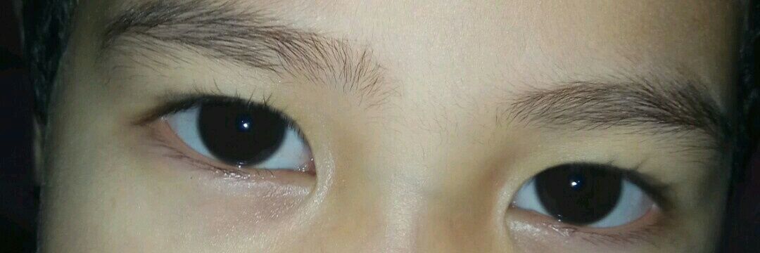 ibie nas norbeck banner