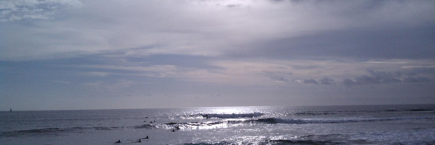 bibliodaphne's profile banner image