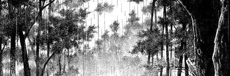 pinespruce's profile banner image