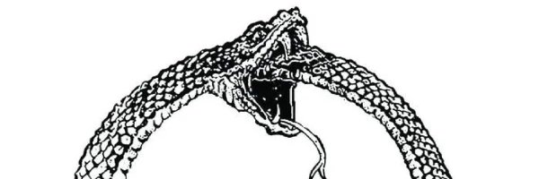 cvlt_blvd Profile Banner