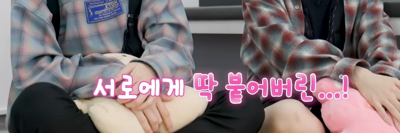 🌱 banner