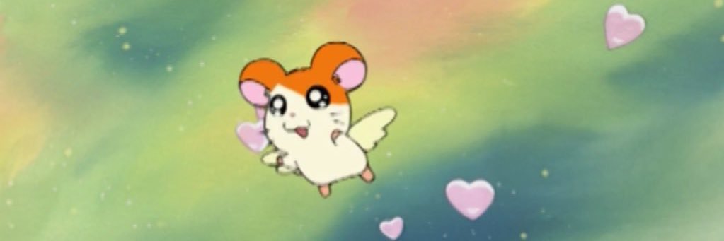 bj91672's profile banner image